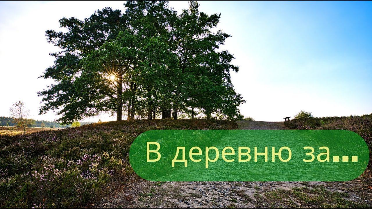 Путешествие в деревню к другу  Ловушки для пчёл