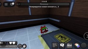 играю за пеббла