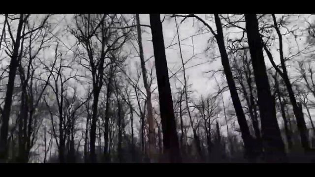 похищенный для леса ЧАСТЬ 30