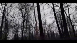 похищенный для леса ЧАСТЬ 30