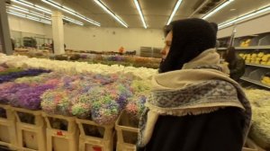 ПРИЕХАЛИ ЗА ВЕСНОЙ! 🌱 Когда за окном снегопады и -27,5 🥶 Добро пожаловать в Москоу Сити