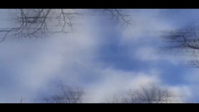 похищенный для леса ЧАСТЬ 6