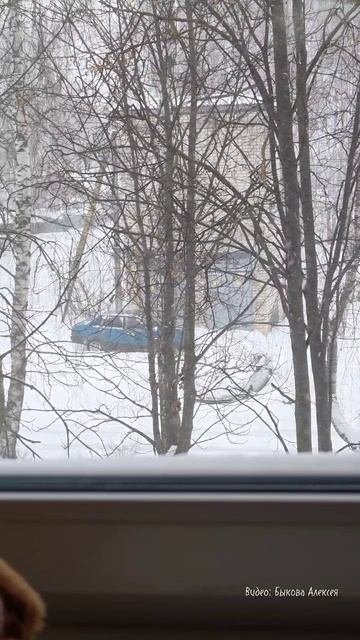 🚗👀😶🌫️ СнегопаД