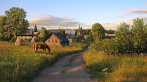 СБОРНИК   ИСТОРИЙ НА НОЧЬ.  про деревню.