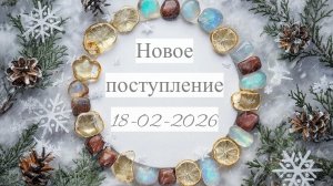 Новое поступление 18-02-2026