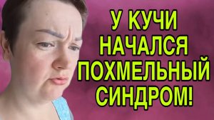 У КУЧИ ПОХМЕЛЬНЫЙ СИНДРОМ. ПИРАТСКАЯ ЖИЗНЬ. ОБЗОР.