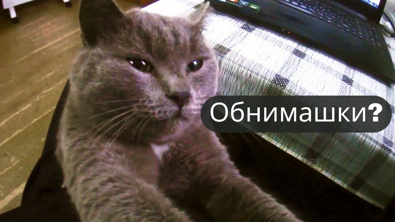 ✔ Серёня хочет меня задушить?✔