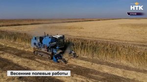 Под урожай 2026 года засеяно озимыми культурами 242 тыс. га