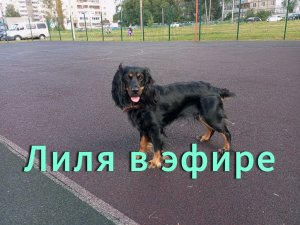 Лиля в эфире