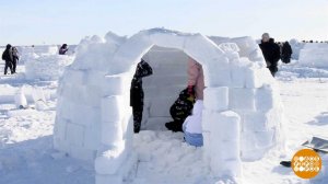 Что нам стоит дом построить! Из снега. Доброе утро. Фрагмент выпуска от 16.02.2026