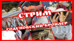 ▶️Стрим 95 Прямой эфир с Годуновским бройлером