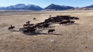 Шандан: легендарная колыбель китайской конницы