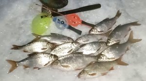 Безмотылка и подводная камера в плохую погоду рыба есть.