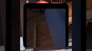 1000048737.mp4 (Собака наблюдает за устройством лестницы на 2 этаж в доме А-фрейм)