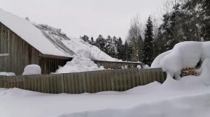 Вот так и живём... Февраль 2026 года. Первая половина