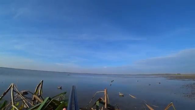 С НОЧЁВКОЙ НА ОХОТУ И РЫБАЛКУ. ДИКИЙ ОСТРОВ. Охота на утку с чучелами. Рыбалка смотреть онлайн