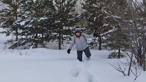 Воскресный день в лесу