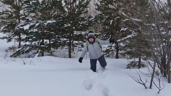 Воскресный день в лесу