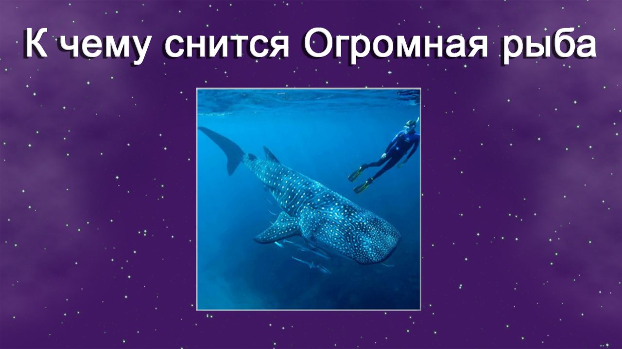 К чему снится Огромная рыба - толкование сна смотреть онлайн