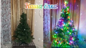 VLOG Воспоминание 2021г.  Папа привёз ёлку.