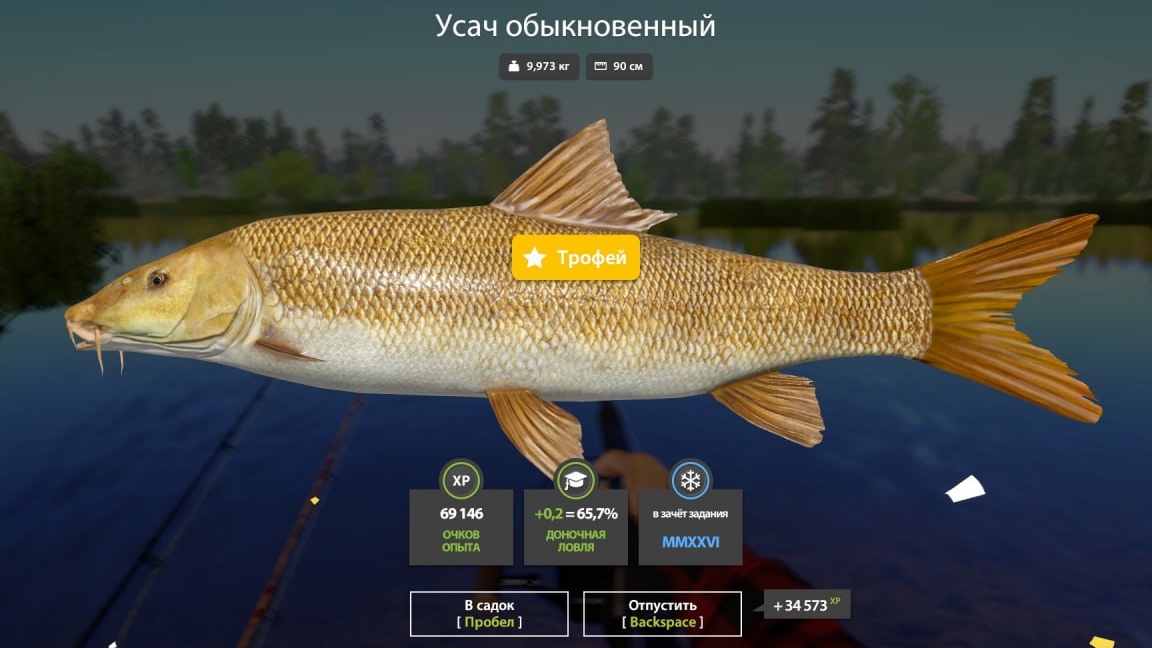 Трофей рр4 | Русская рыбалка 4 Усач обыкновенный озеро Медвежье смотреть онлайн