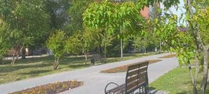 Прогулка с цыплёнком #2 ｜ Старые видео с YouTube