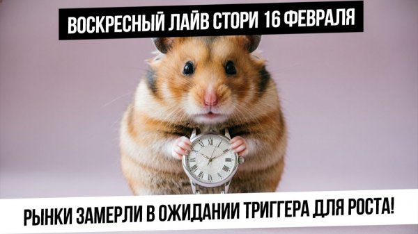 Вечерний анализ рынка 16 февраля. Индекс в ожидании позитивных новостей! Газ и нефть растут!