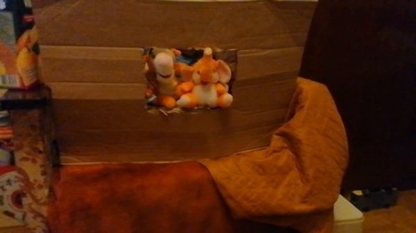 Снимаю видосы