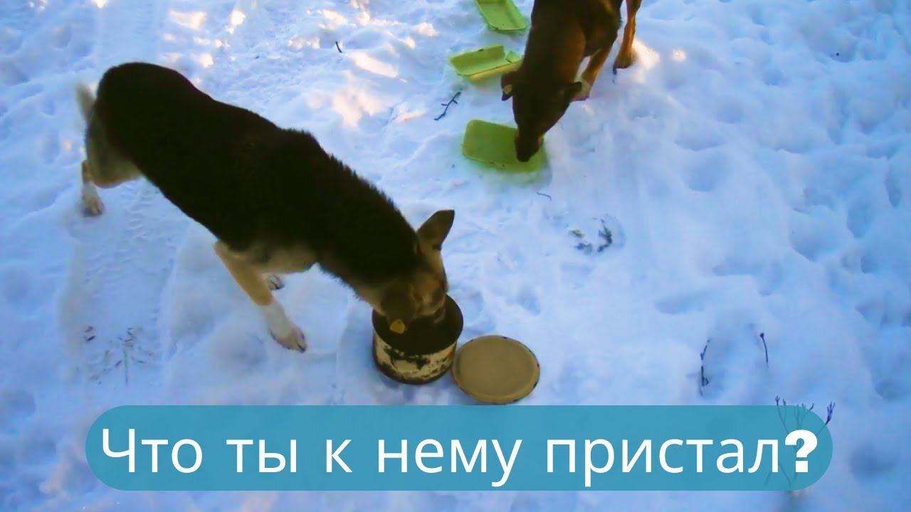 ✔Не приставай к человеку✔