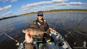 Активный клев рыбы. Щука на троллинг. Трофейный окунь