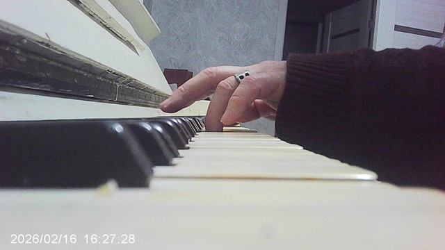 Пианино: "Во саду ли в огороде"