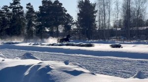 Сапсан тренинг16-02-2026