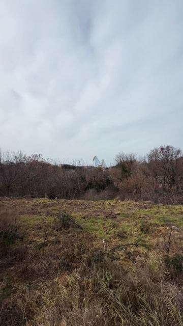 Участок с видом на Херсонес в Севастополе смотреть онлайн