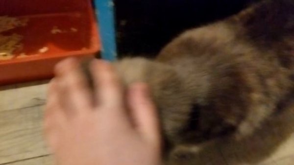 😺😺😺😺😺😺😺♥️♥️♥️♥️♥️♥️♥️♥️