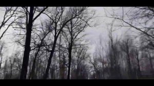 похищенный для леса ЧАСТЬ 33