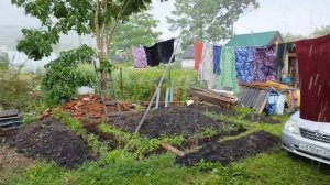 Дождик, дождик... Посильней....