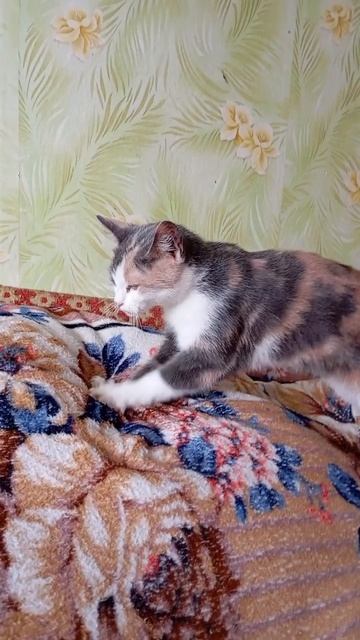 Замурчательное утро Буси Максимовны