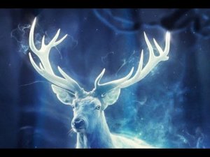 Лесной олень - Марина Кравец и Таня Белоус. СССР