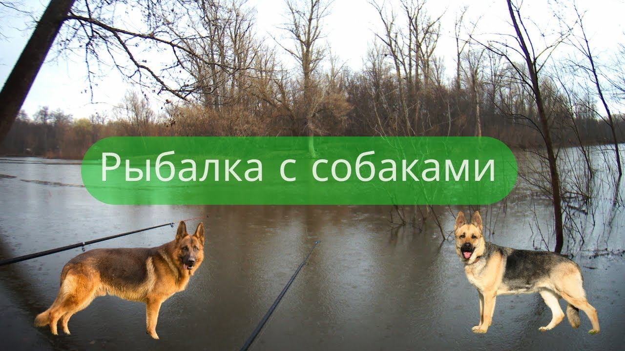 ✔ Рыбалка  в дождливый апрельский день в дружной компании ✔