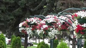 Старые дома. Музыка Сергея Чекалина.