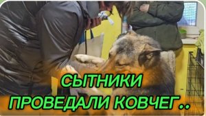 САМВЕЛ АДАМЯН, СЫТНИКИ, ПРОВЕДАЛИ КОВЧЕГ..