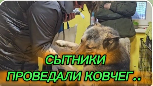 САМВЕЛ АДАМЯН, СЫТНИКИ, ПРОВЕДАЛИ КОВЧЕГ..