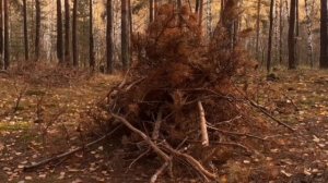 выживал в лесу ЧАСТЬ 3