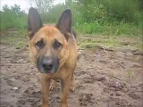 Angeln in Russland (2017.09.13)