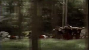 Официальный трейлер "Три мушкетера (1993)"