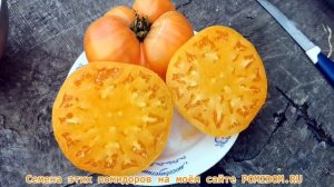 Томатное МЯСО! Помидоры Browns Yellow Giant Коричнево Жёлтый Гигант