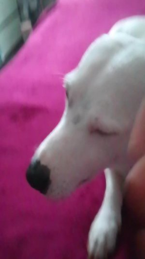 у меня почти 120 подписчиков. и у меня клип выпускается.