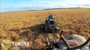 ОХОТА НА ДИКОГО ОЛЕНЯ В СЕВЕРНОЙ ЯКУТИИ 2025