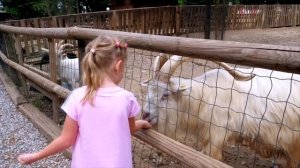 Влог： Настя в парке развлечений Маши и Медведя в Италии