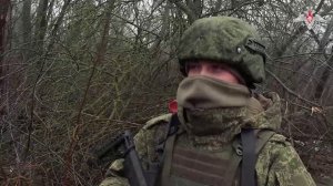 Подробности освобождения Цветкового в Запорожской области